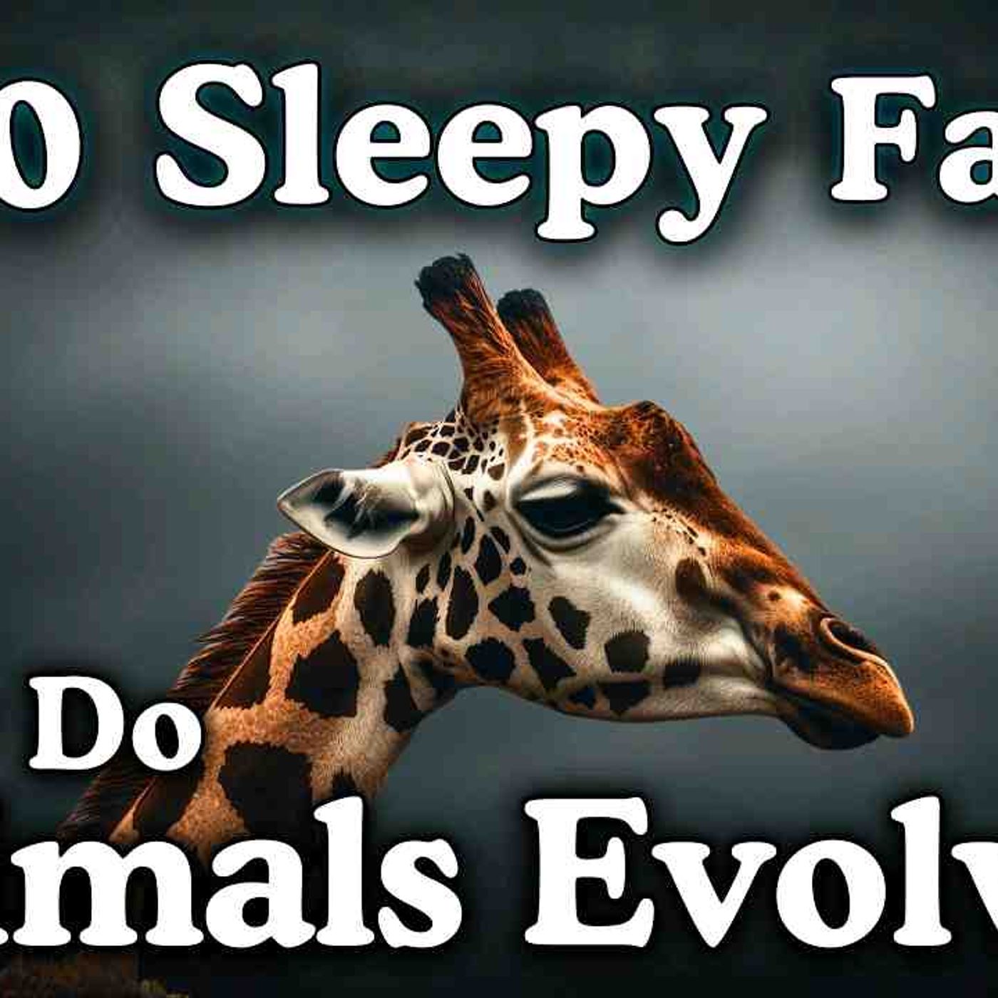 How Do Animals Evolve_ 100 Facts to Fall Asleep episode artwork