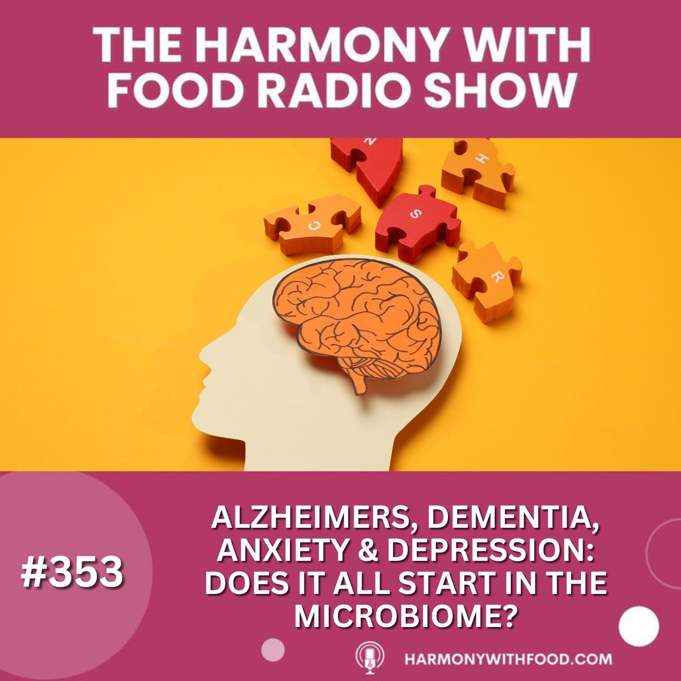 Alzheimers, Dementia, Anxiety & Depression:  Does It All Start In The Microbiome? episode artwork