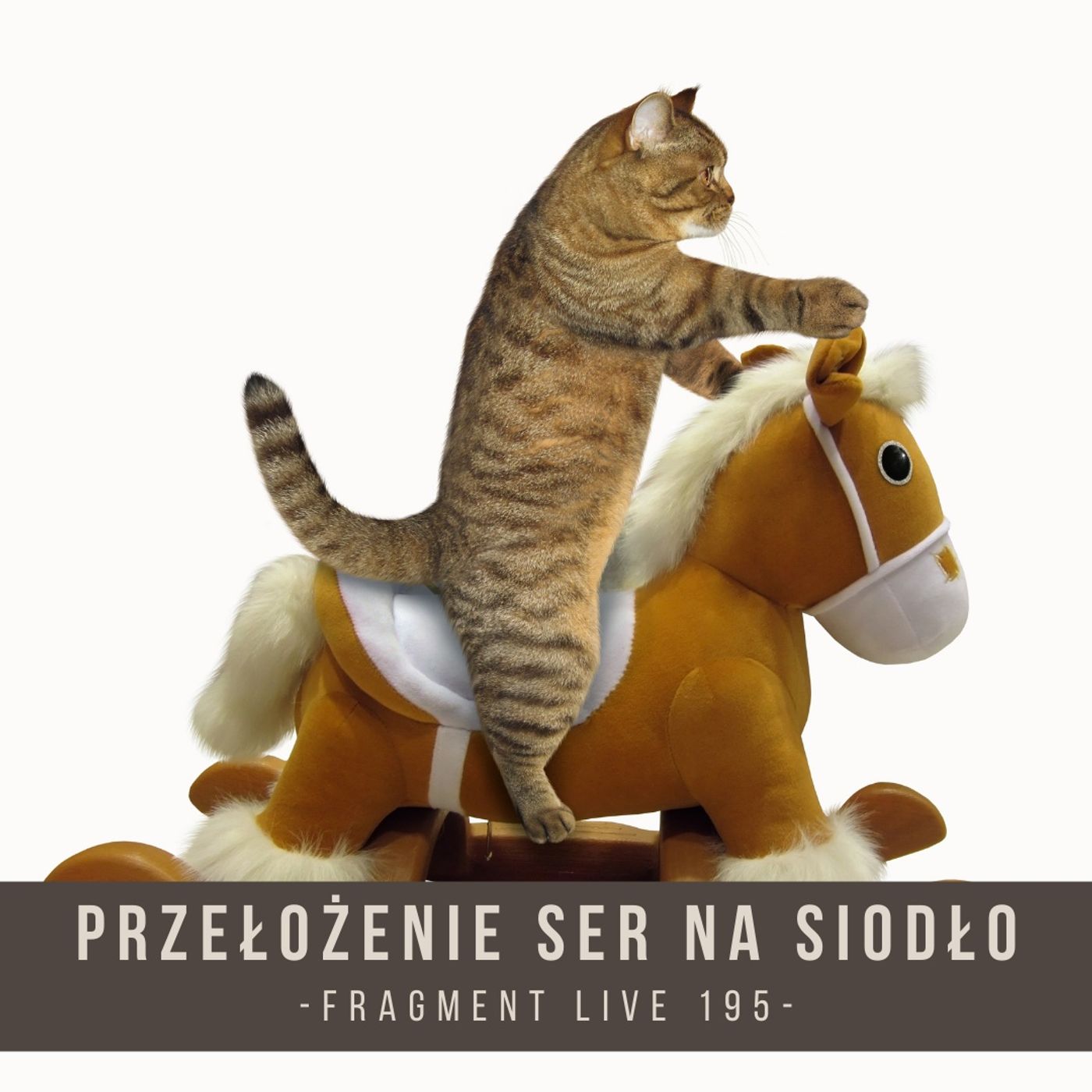Przełożenie SER na siodło - fragment live 195