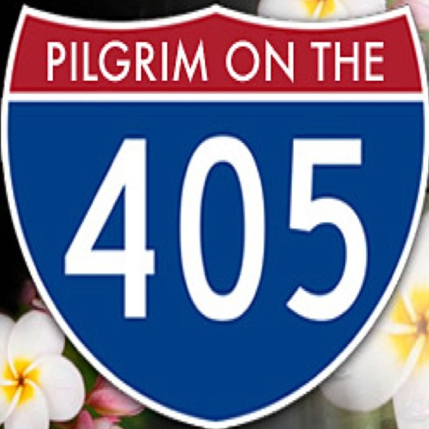 Pilgrim on the 405