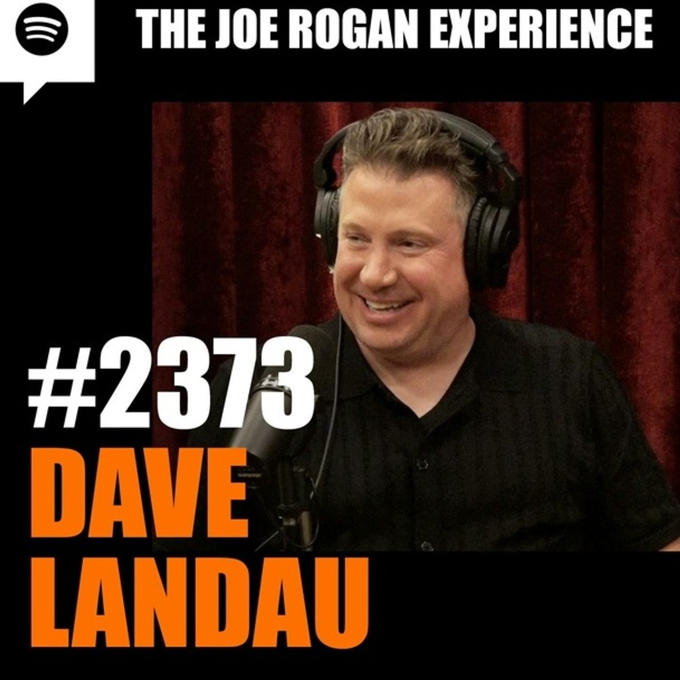 Joe Rogan Experience #2373 - Dave Landau