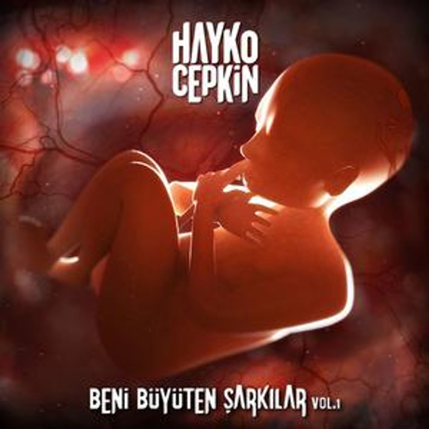 çaresiz gizledim duygularımı