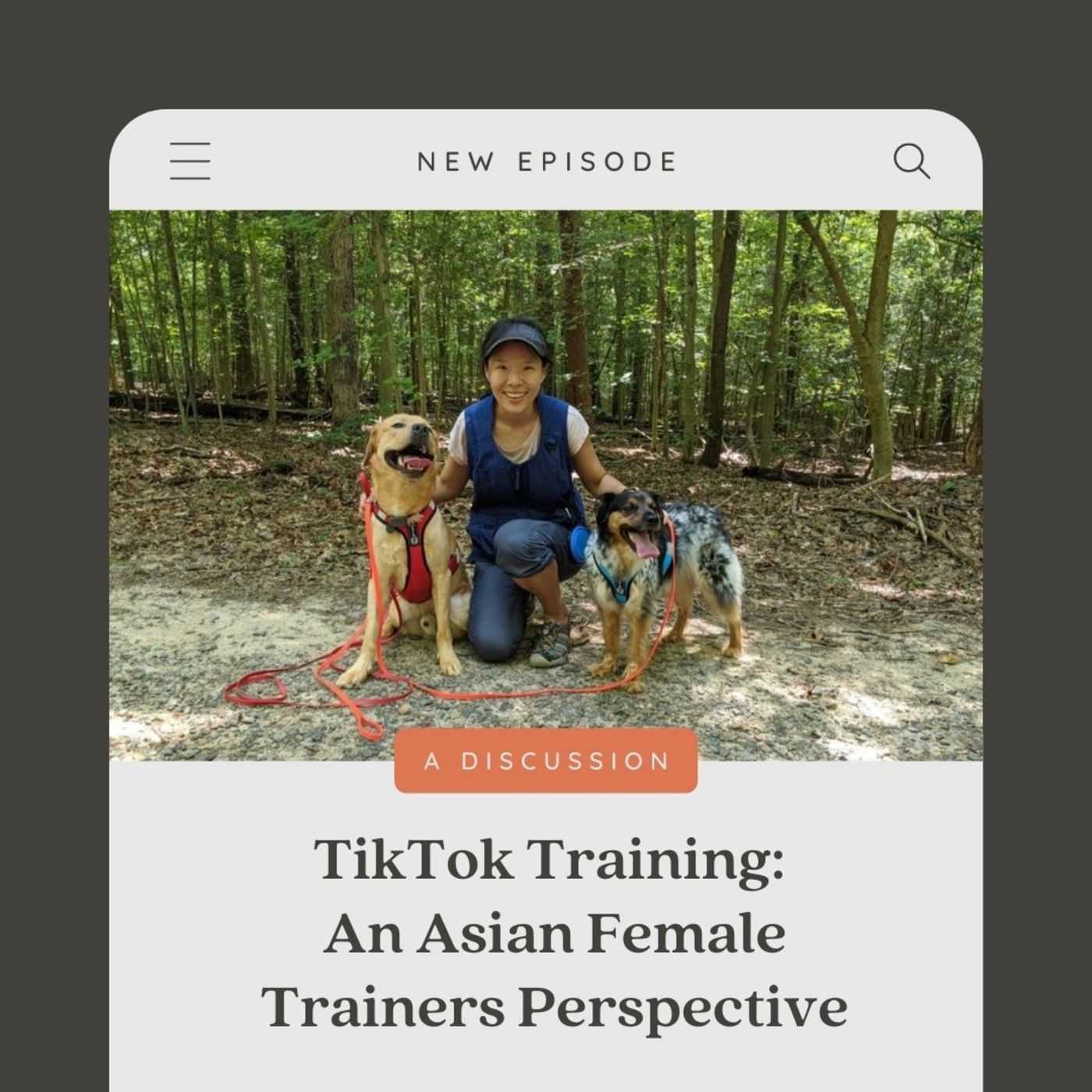 TikTok Training: An Asian Female Trainers Perspective