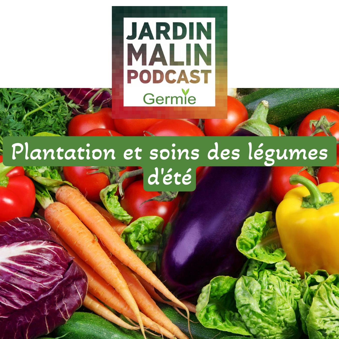 Réussir ses plantations d’été au potager : conseils, astuces et erreurs à éviter