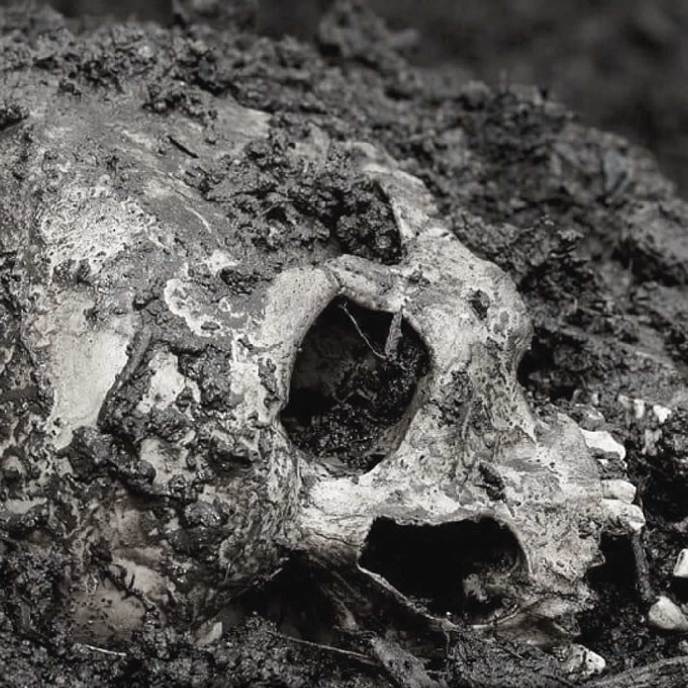 La Fosa De La Bruja Partera Historias De Terror - REDE