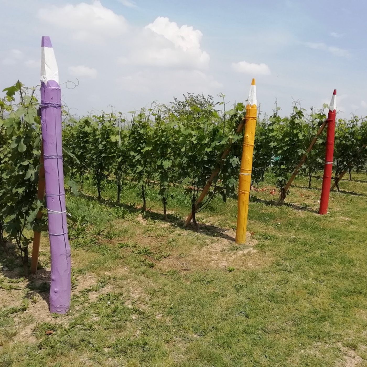 Wedding Planner Torino - Come nei Sogni®