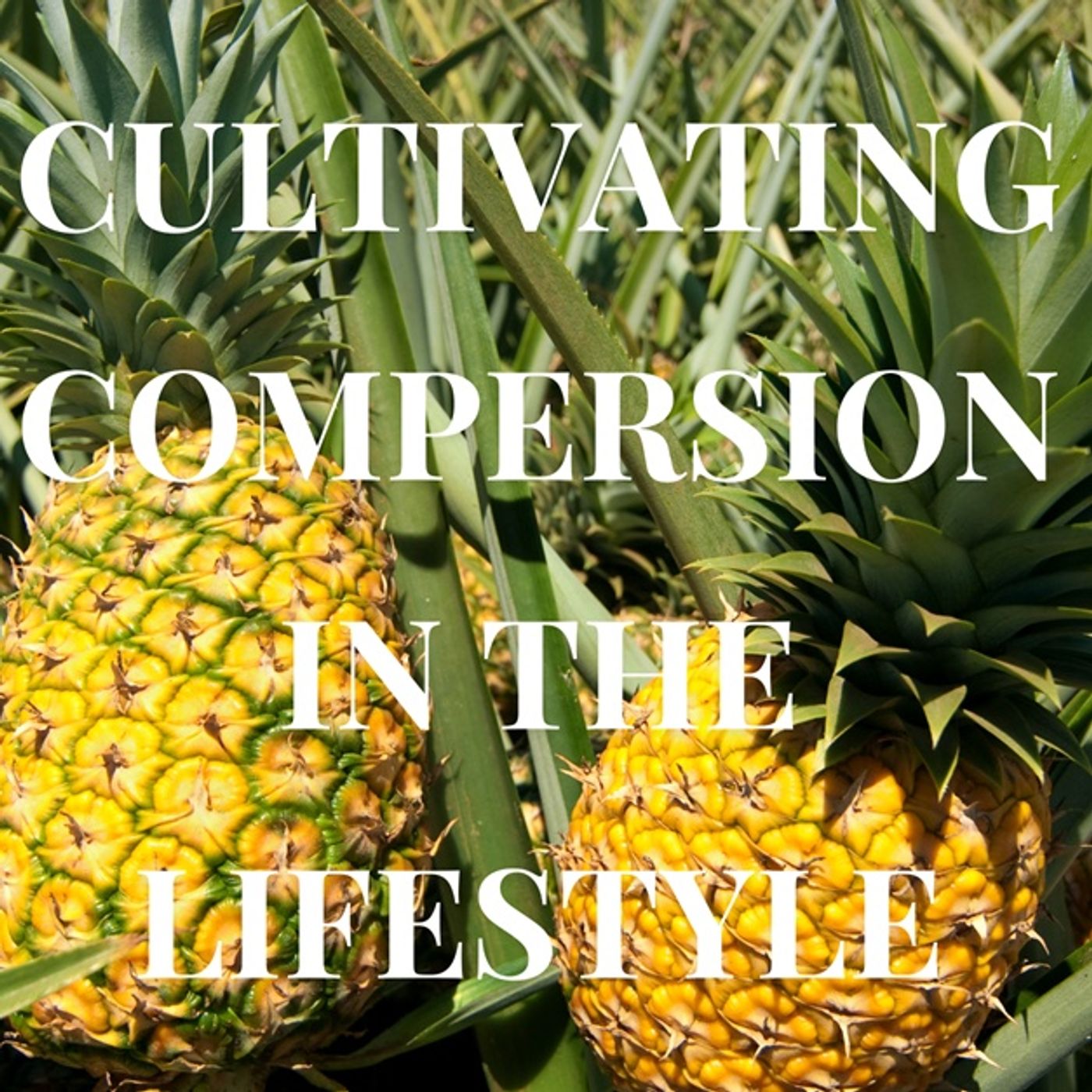 Cultivating Compersion in the Lifestyle