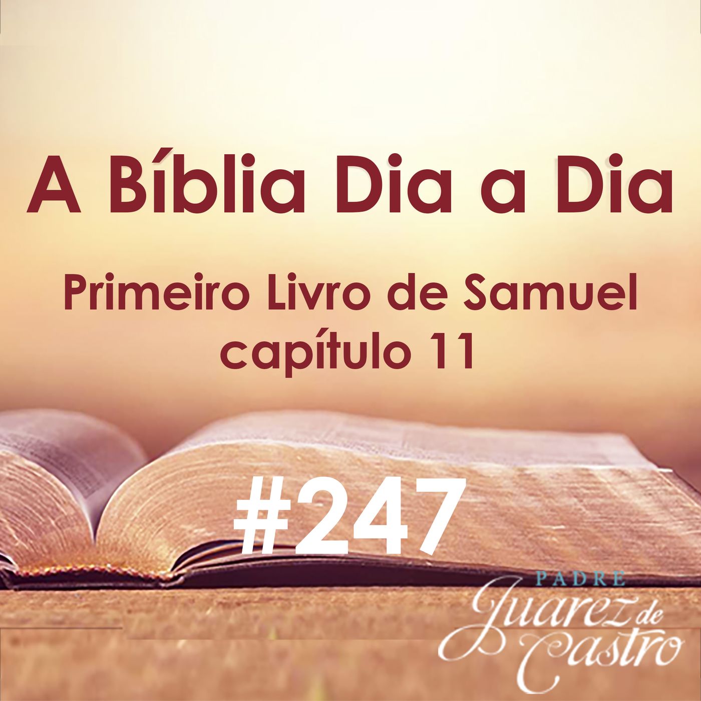 Curso Bíblico Padre Juarez