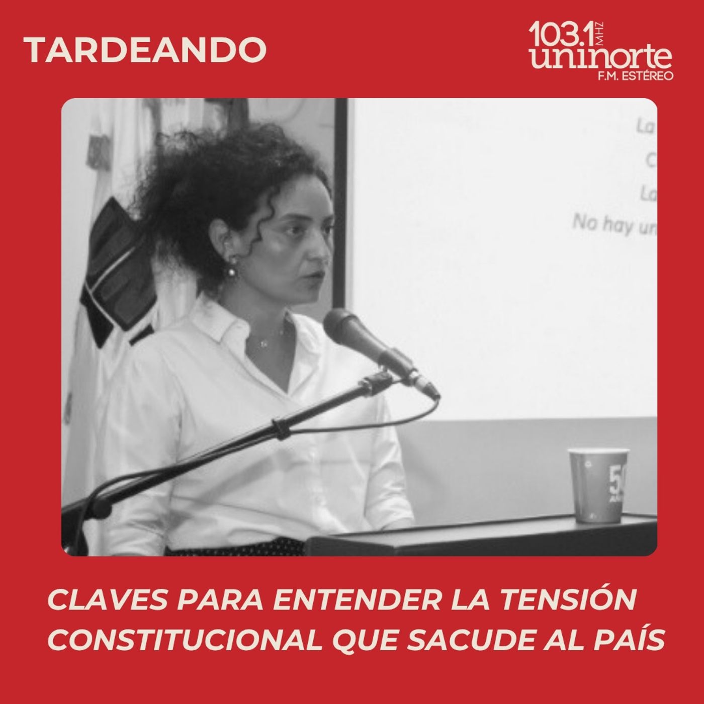 Todo es Político :: Claves para entender la tensión constitucional que sacude al país episode artwork