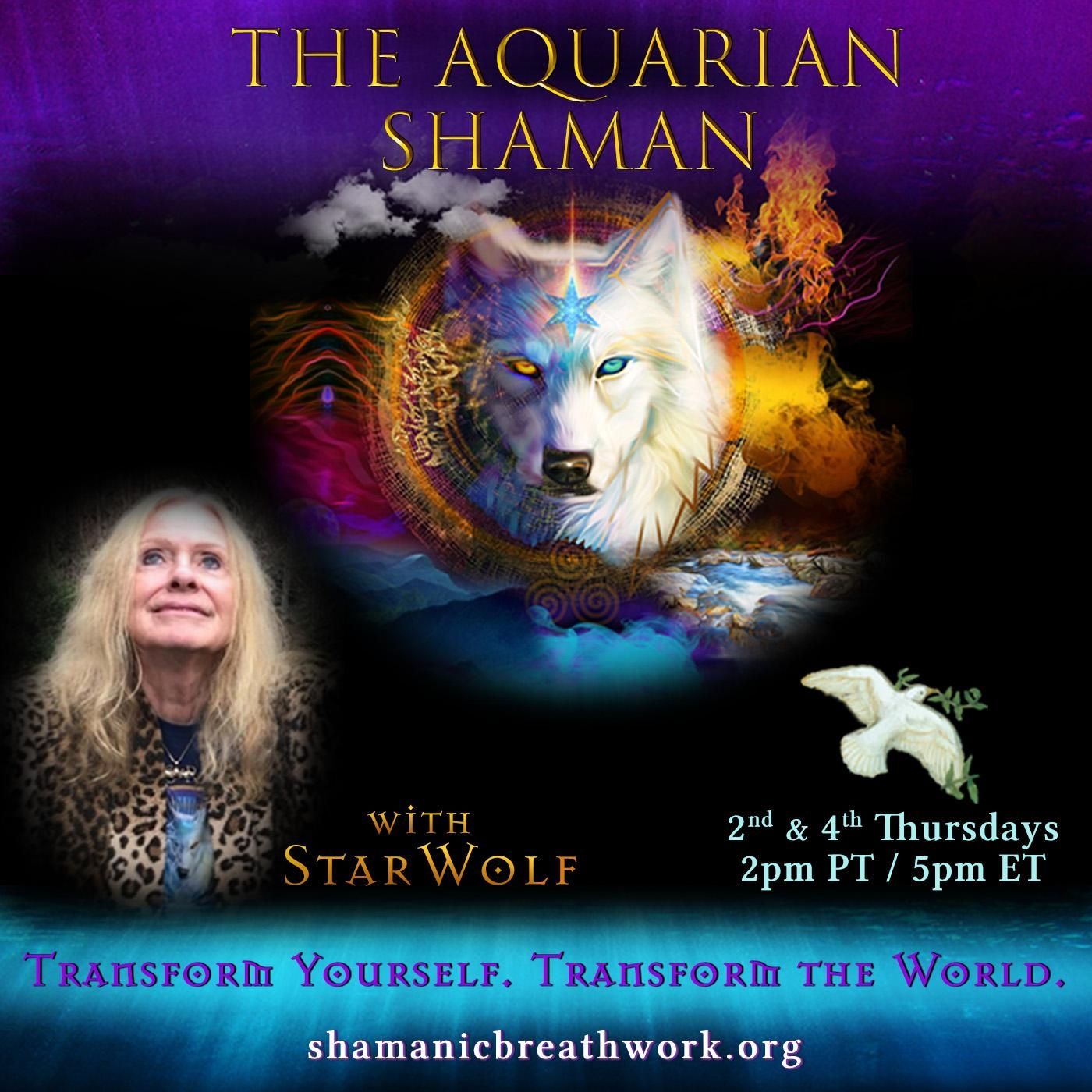 Introduction to The Aquarian Shaman episode artwork
