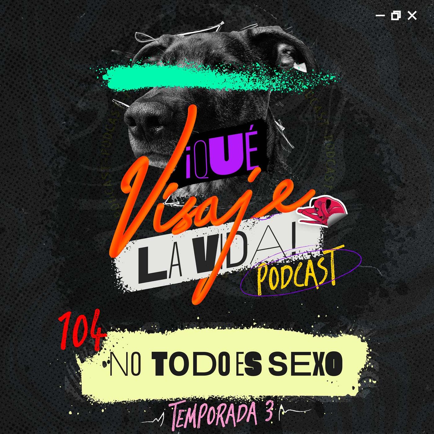 ¡Qué visaje la vida!
