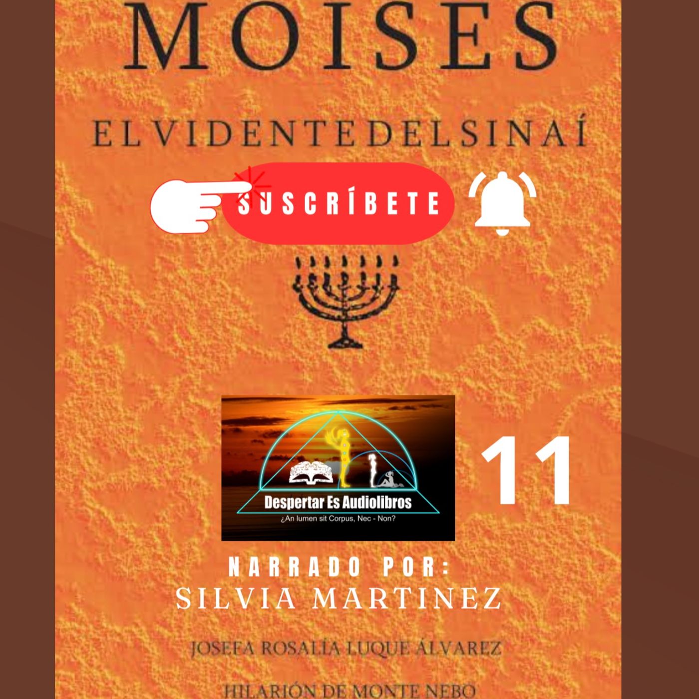 La Voz Interior. Silvia Martínez1