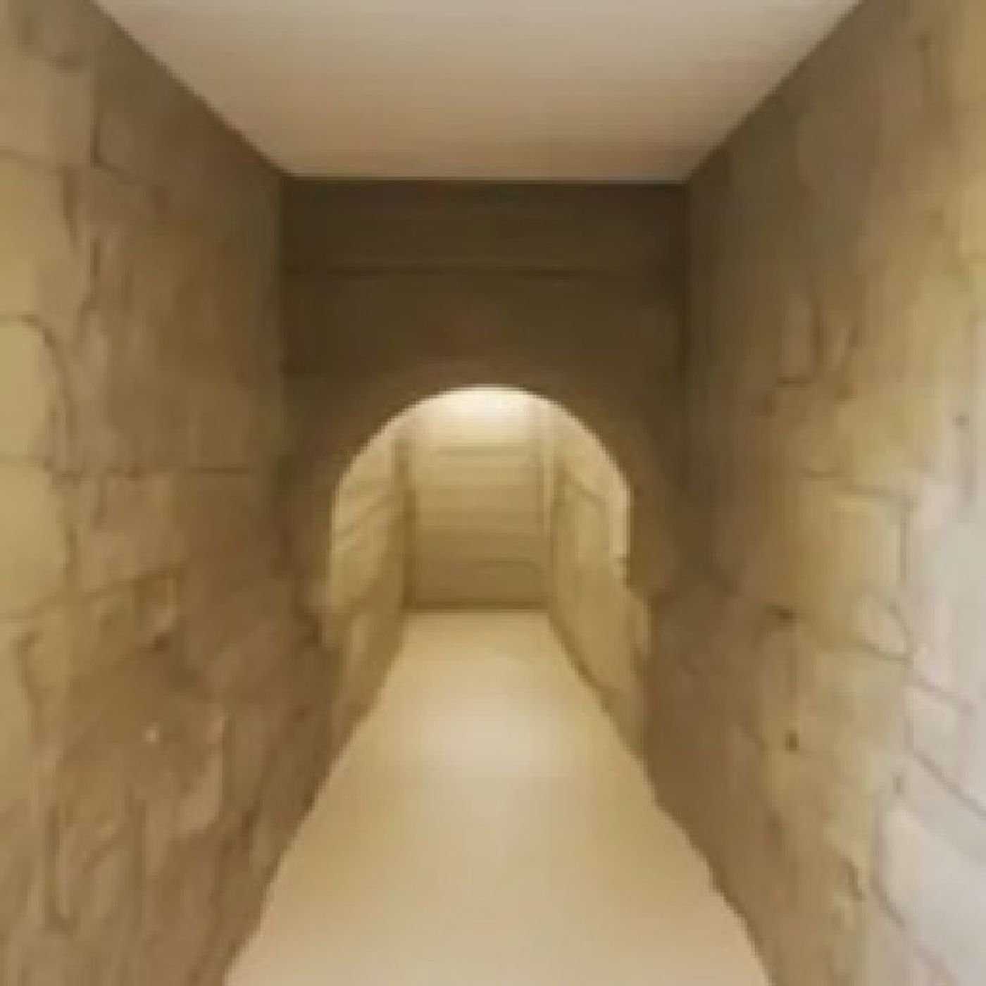 Reveal What Is Hidden