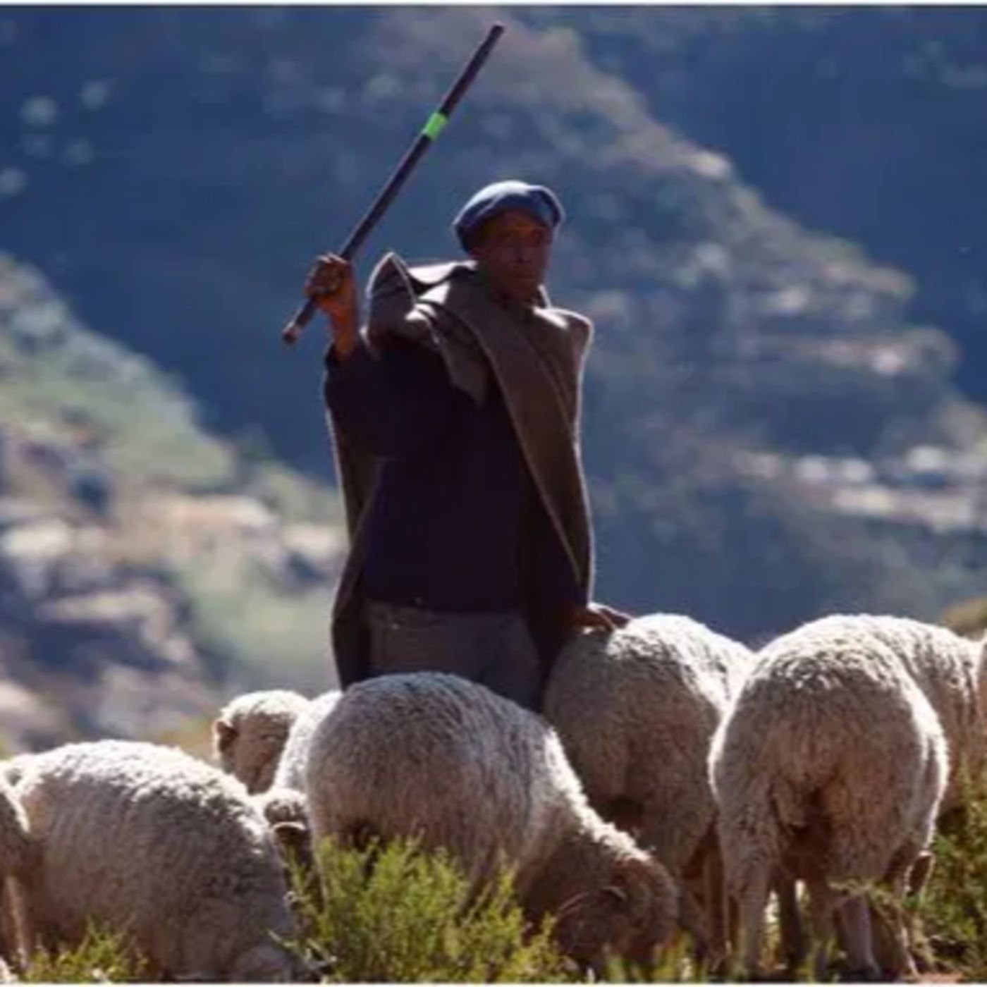 "God’s Design For My Care: The Good Shepherd,” from John 10:11-18 episode artwork
