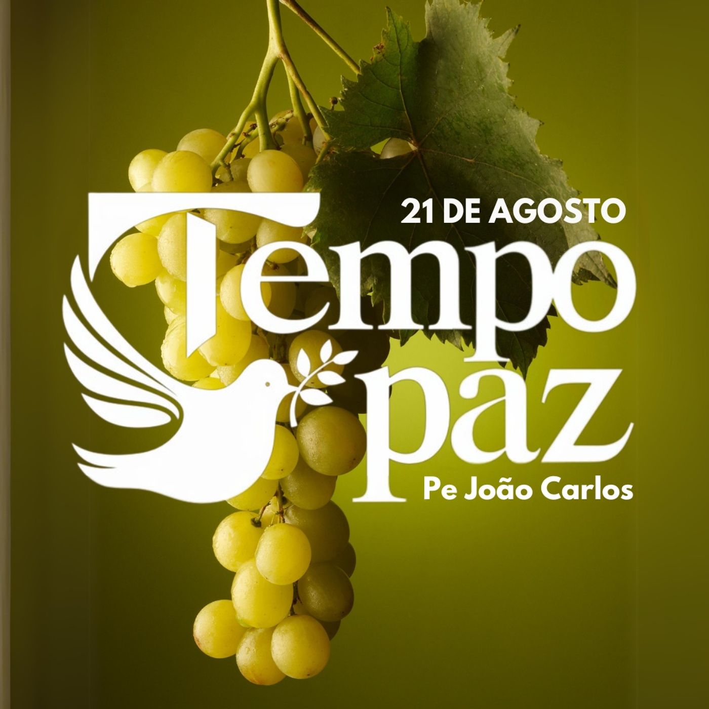 Pe. João Carlos - Meditação da Palavra