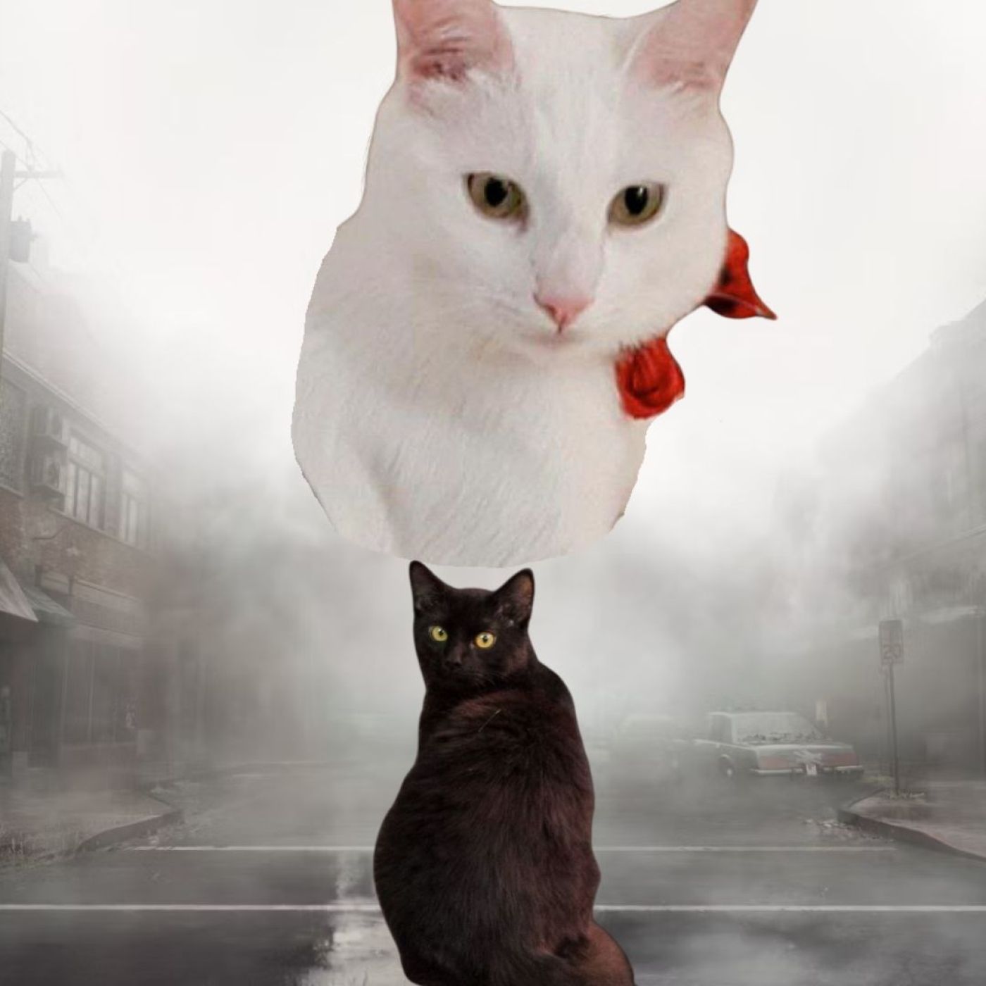 CAFÉ con GATO NEGRO - Videojuegos