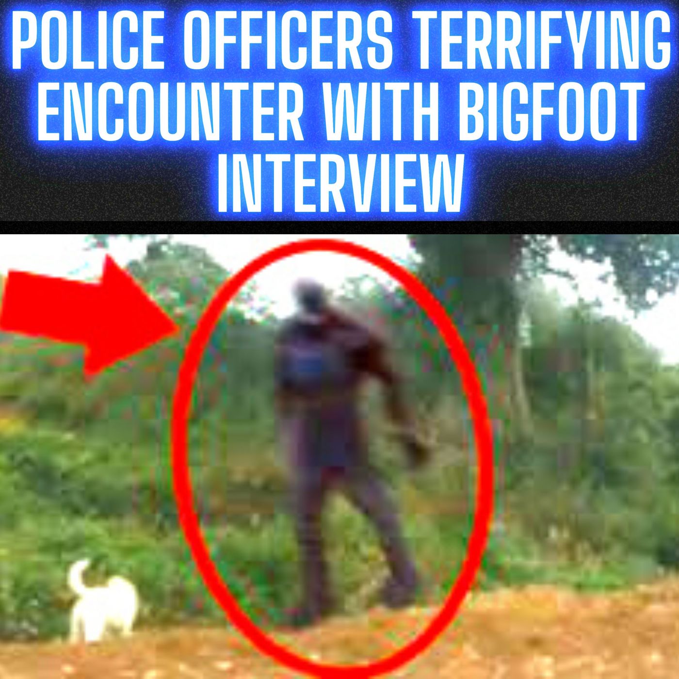 POLICE OFFICERS TERRIFYING ENCOUNTER WITH BIGFOOT - REAL INTERVIEW