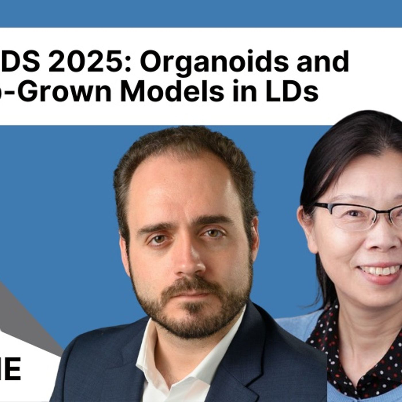 Organoids and Lab-Grown Models in Lysosomal Disorders