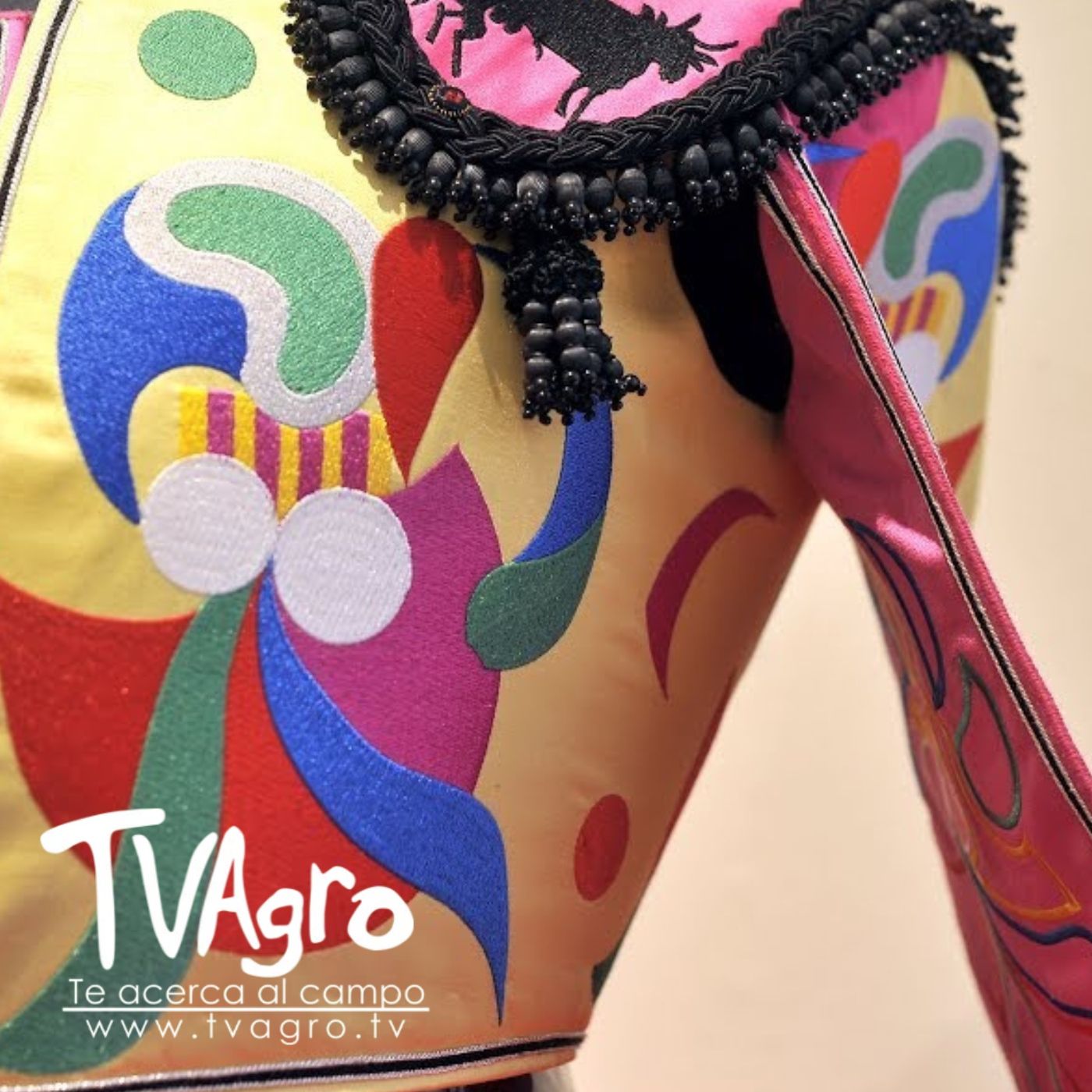 TV AGRO