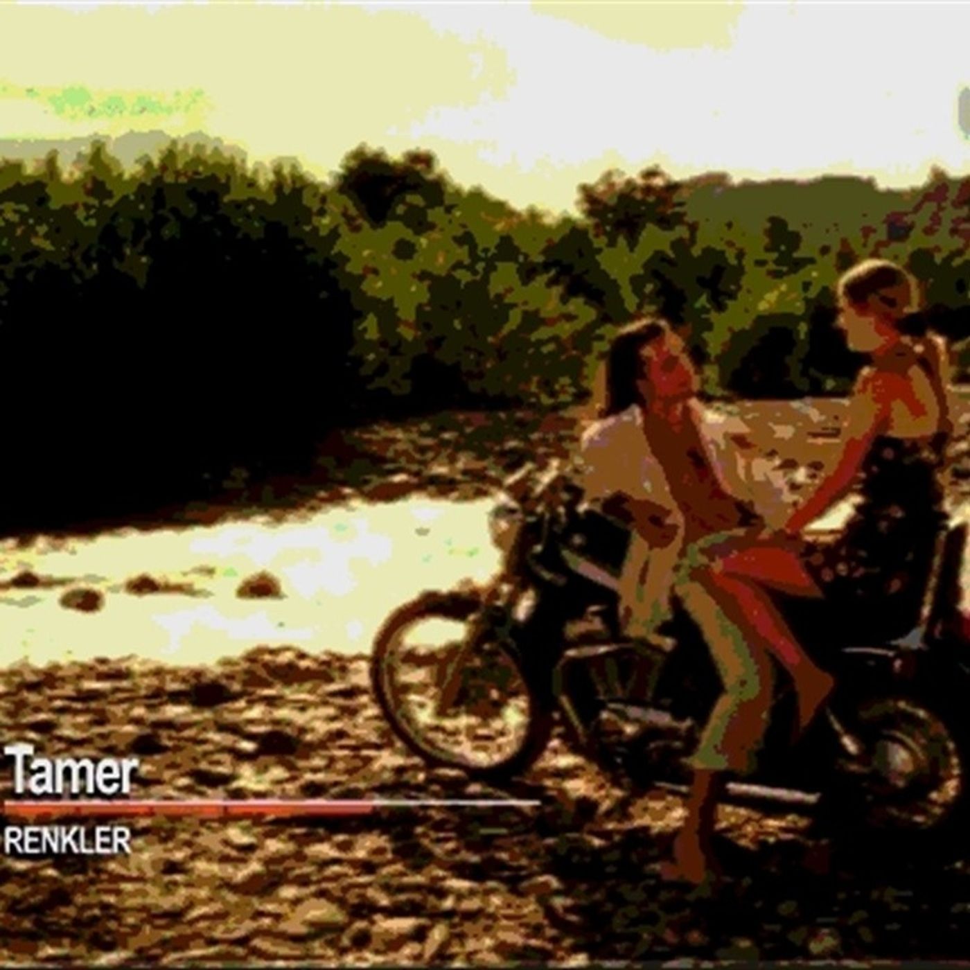 Tamer - Renkler episode artwork