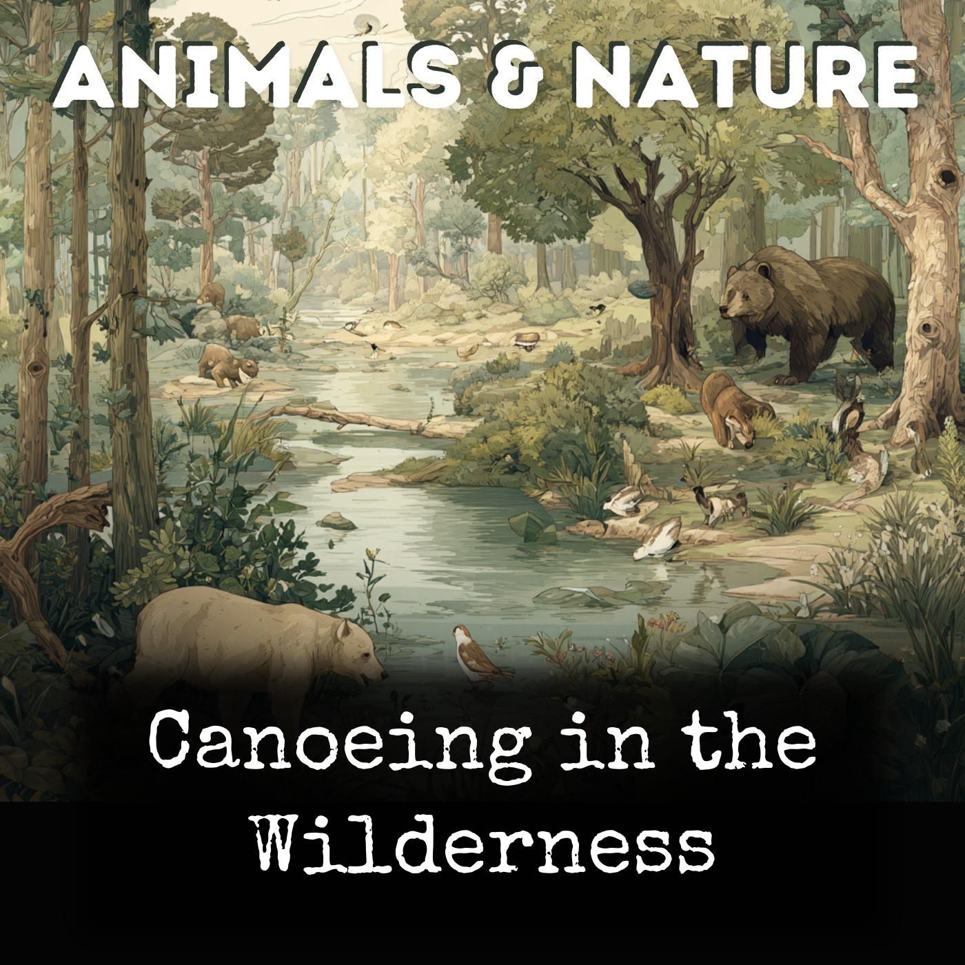 Canoeing in the Wilderness cover art