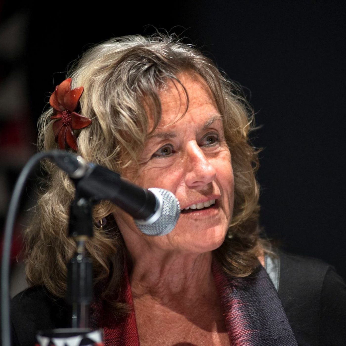 Ep 322 - Bernardine Dohrn, from FBI Most Wanted list to Beating Heart of Chicago Movement episode artwork