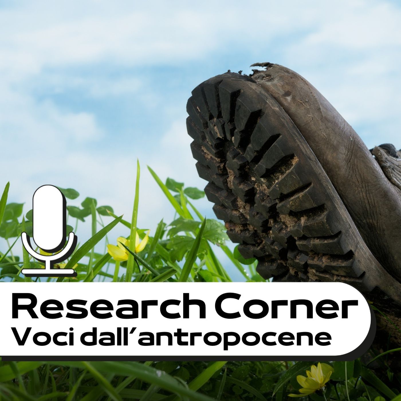 Research Corner - Voci dall’antropocene - UniBo Research Corner - Voci dall’antropocene - UniBo