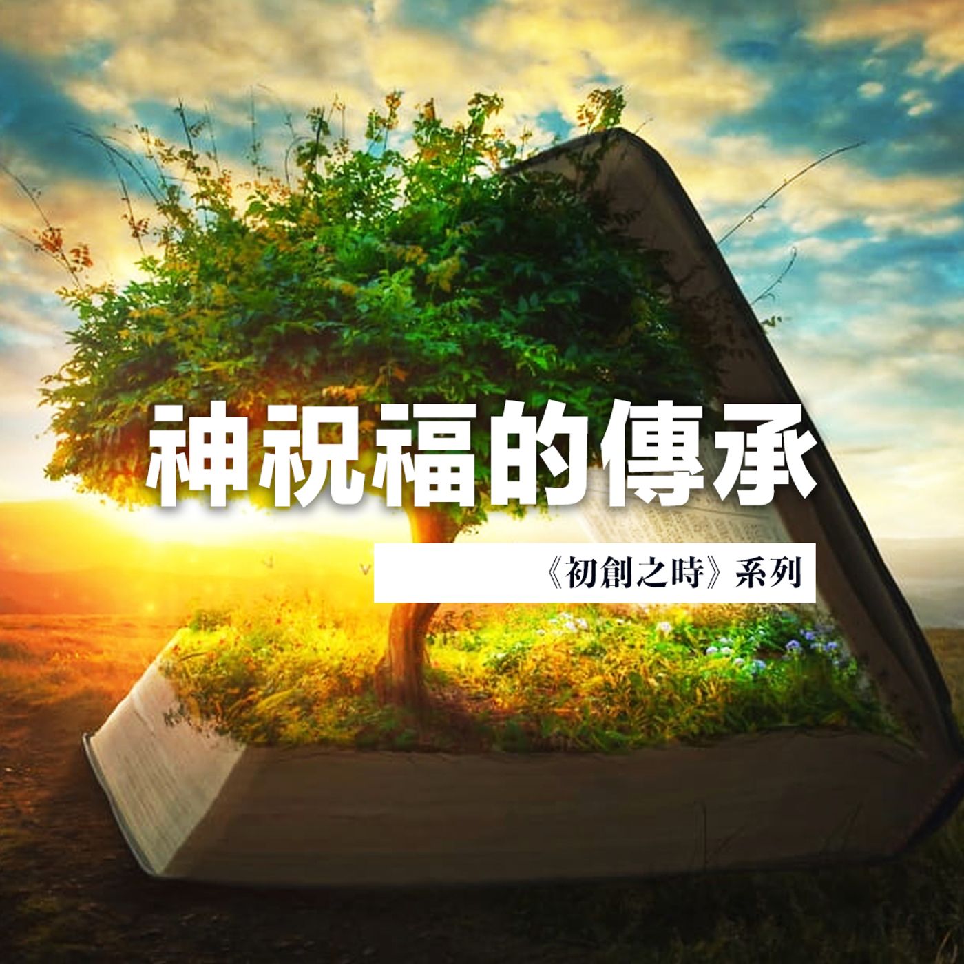 神祝福的傳承 | Jim Cheng episode artwork