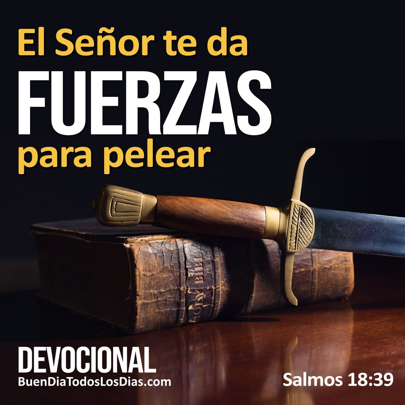 Fuerzas para pelear episode artwork