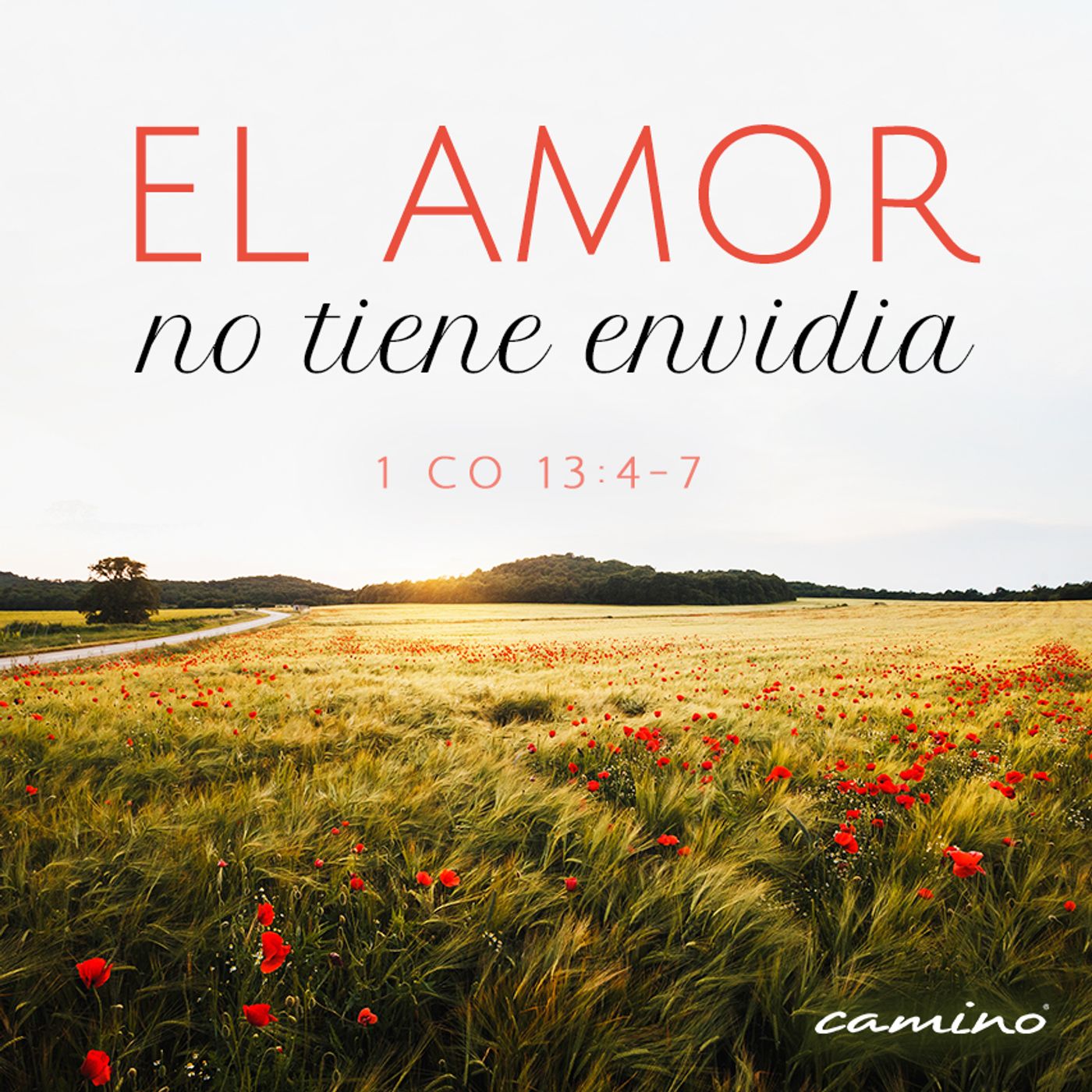 Oración 5 de marzo (El amor no tiene envidia) episode artwork