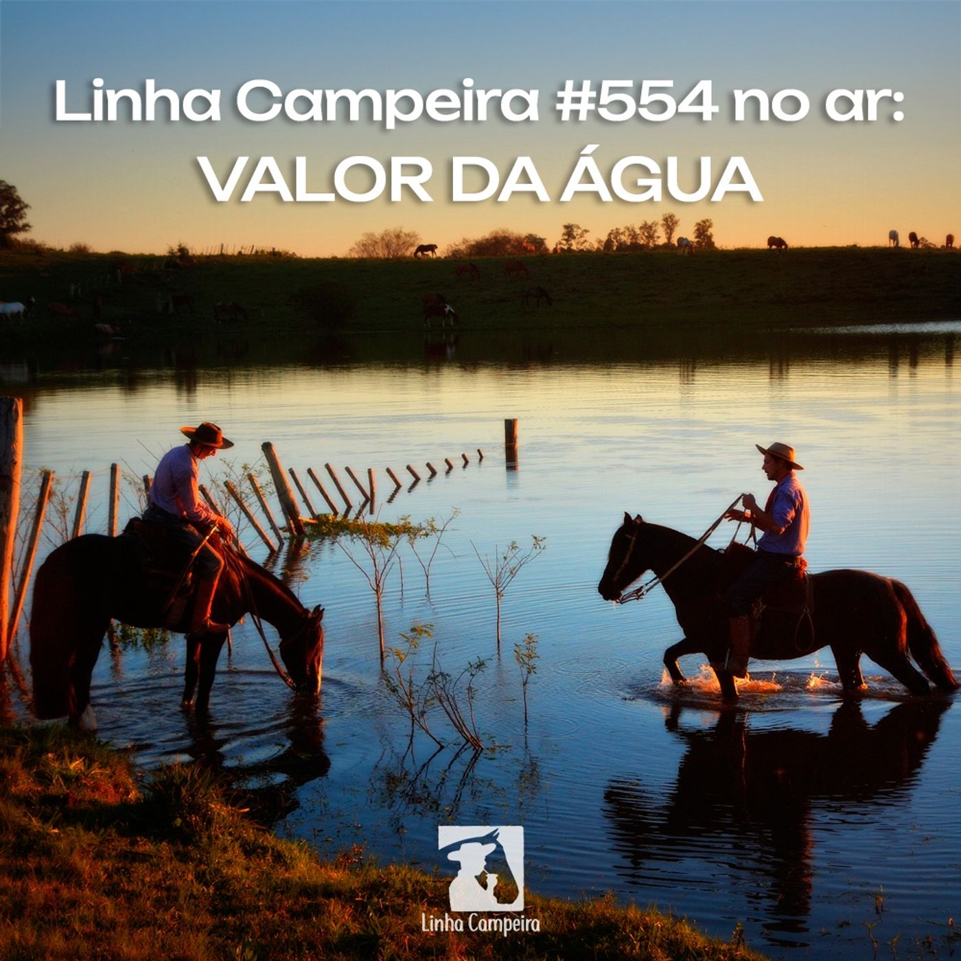 Episódio #554 - O valor da água episode artwork