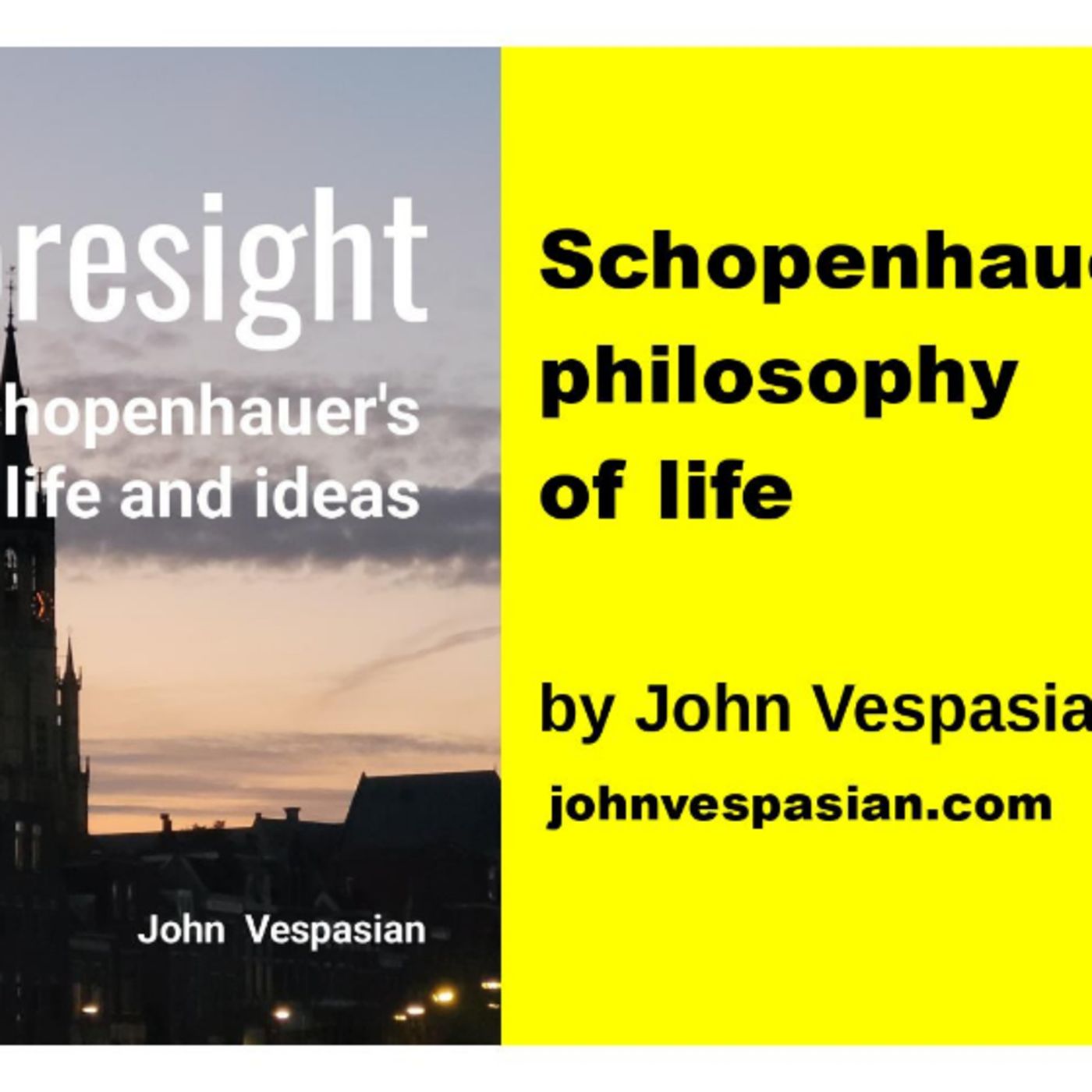 Schopenhauer’s philosophy of life episode artwork