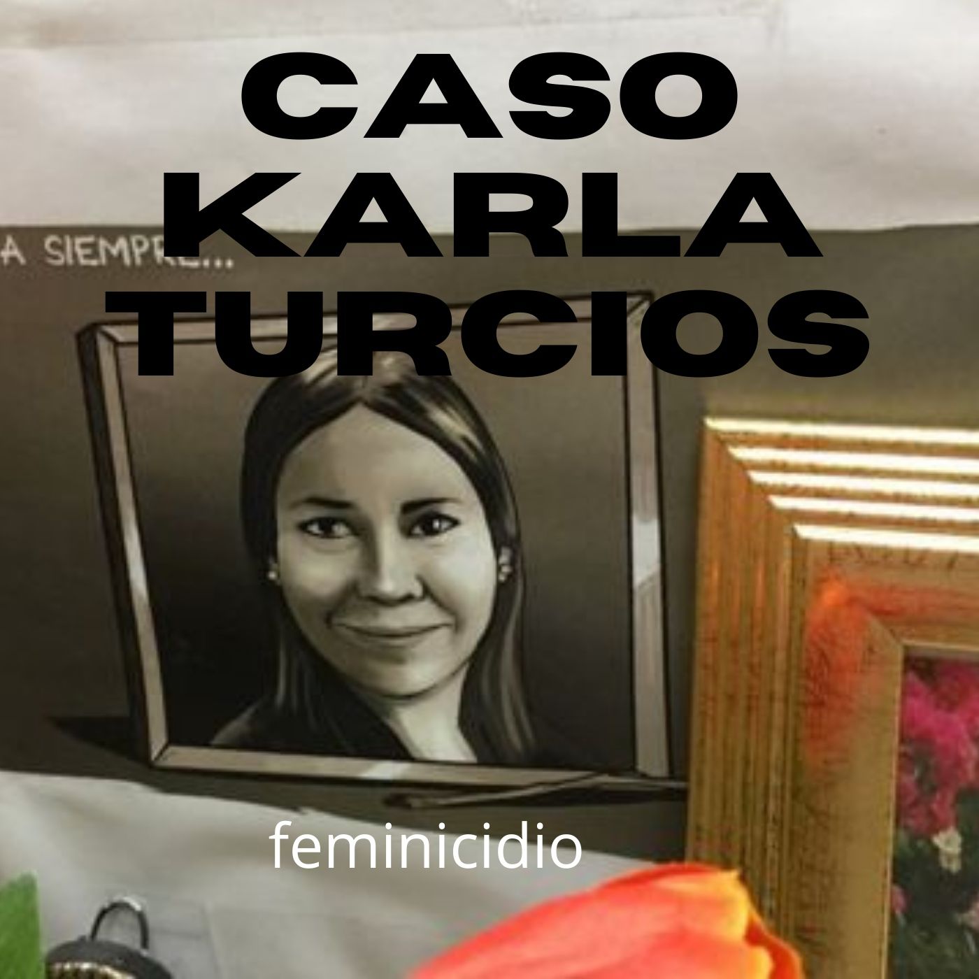 ROSY INVESTIGA