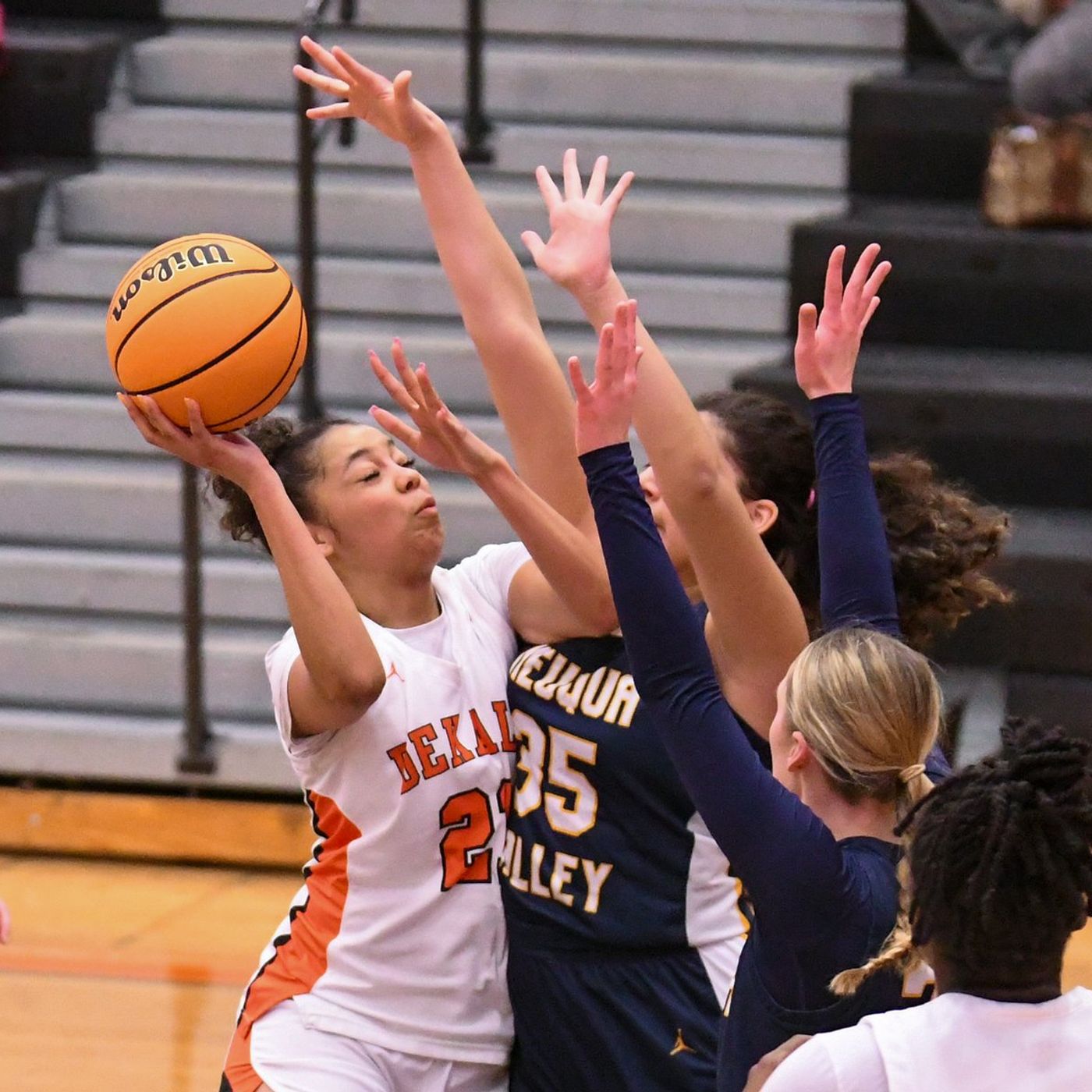Girls basketball: 5 storylines to watch in DeKalb County for 2025-2026 episode artwork