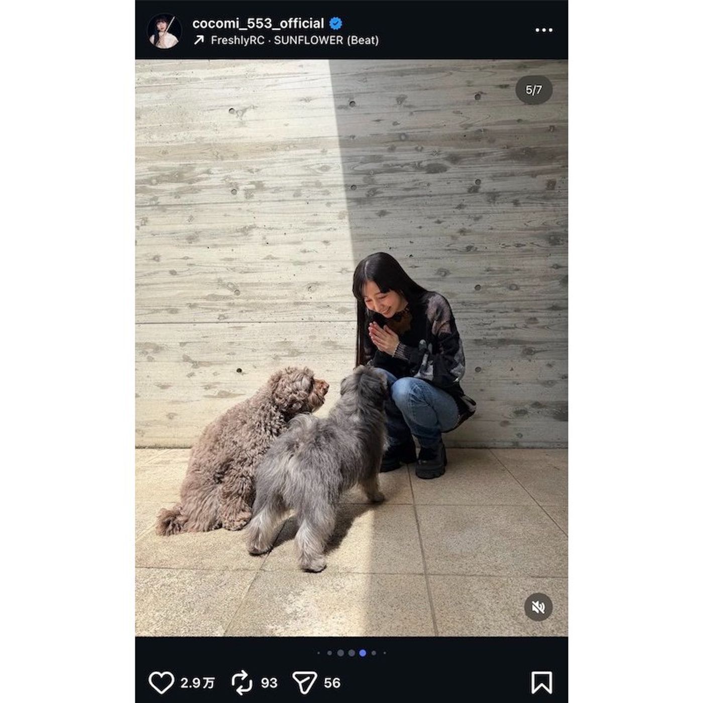Cocomi、愛犬と戯れて満面の笑顔　“アム＆ビビ”のかわいすぎるお迎えショット大量投稿 episode artwork
