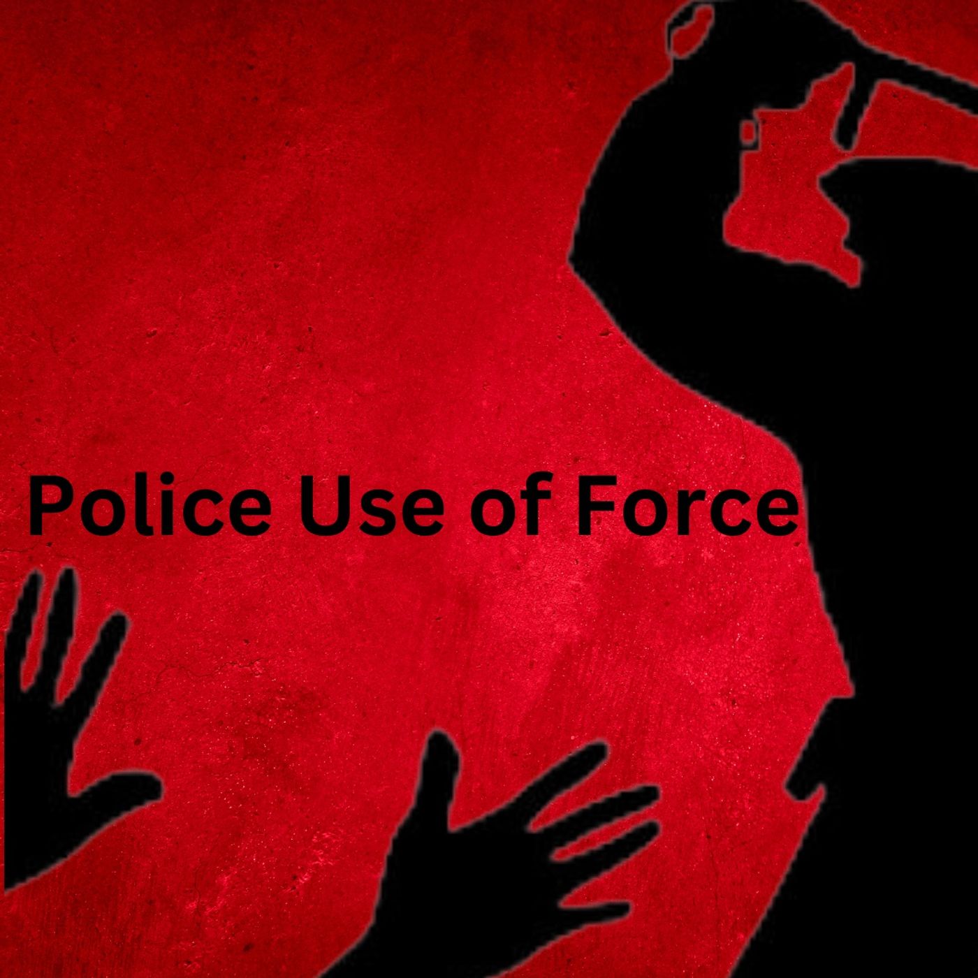 Top Use of Police Force Stories of 2022