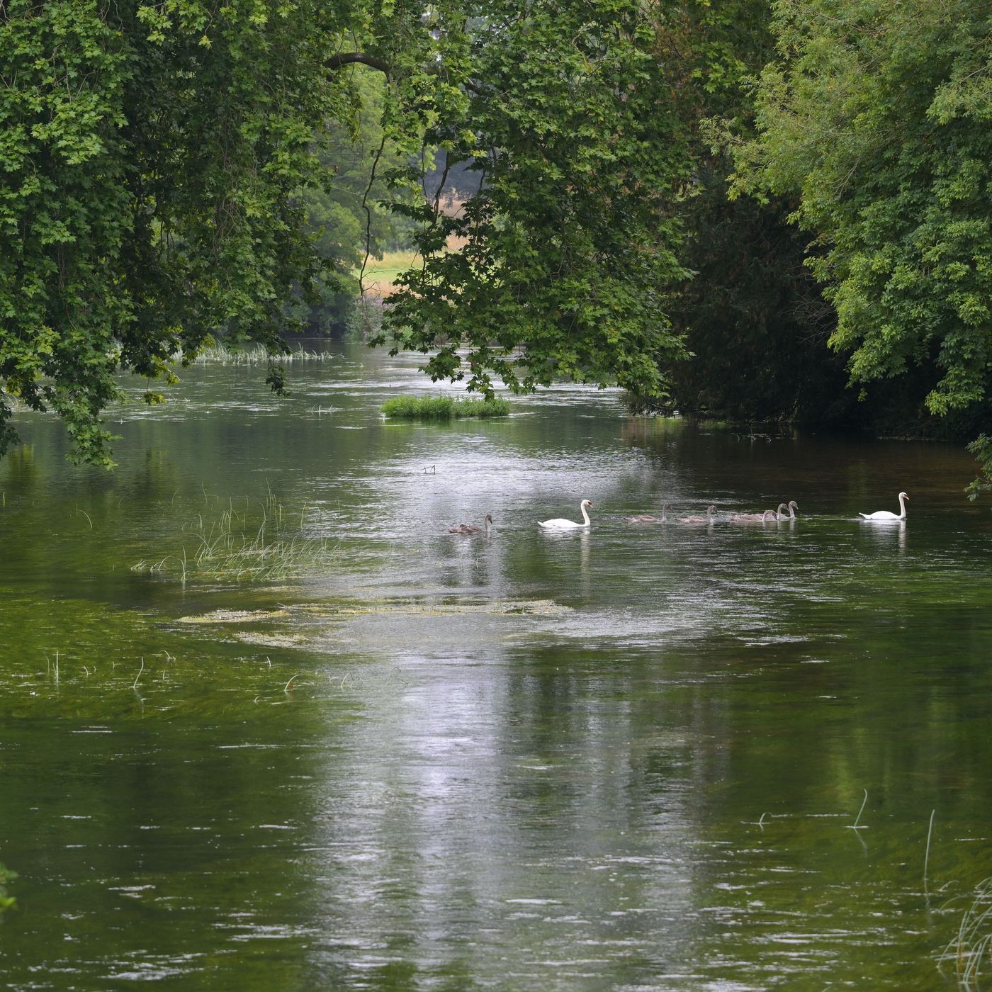Why rivers need human rights