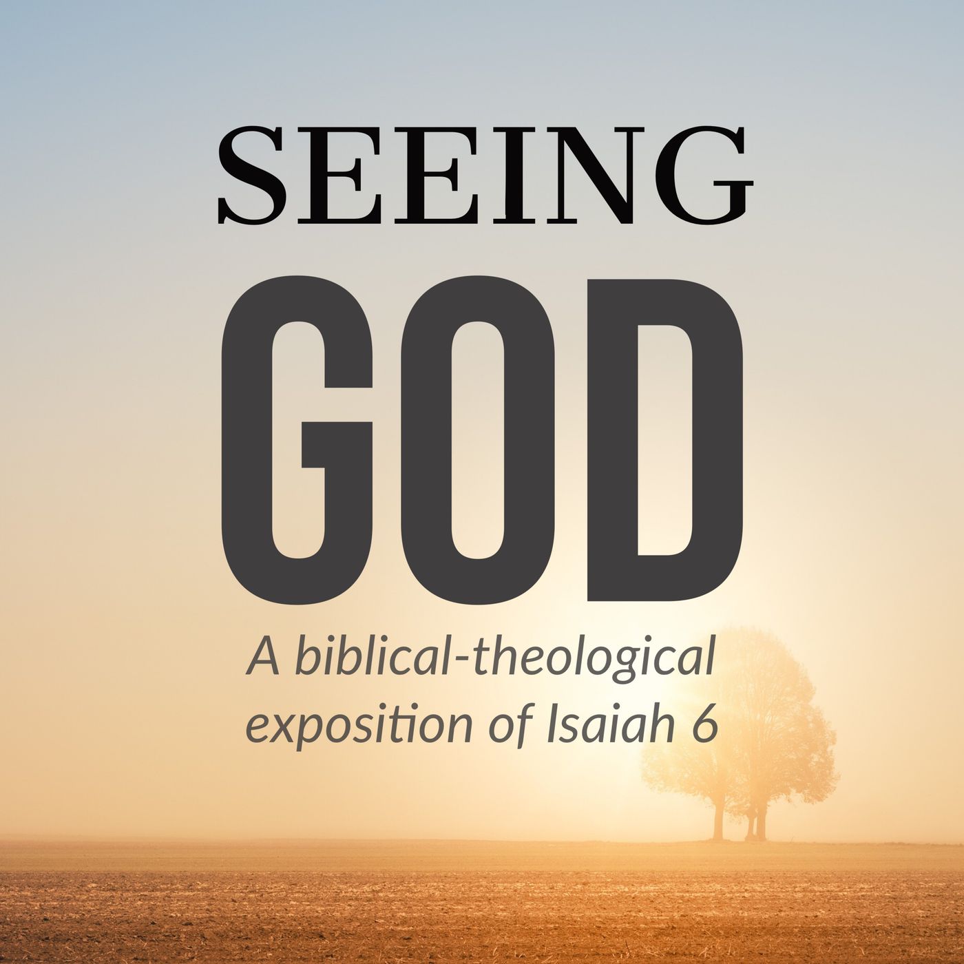 [Sermon] "Whom Shall I Send?": Helping Others See God (Isa. 6:8-13) episode artwork