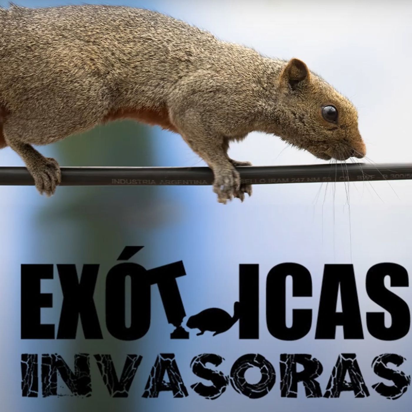 La Amenaza Silenciosa