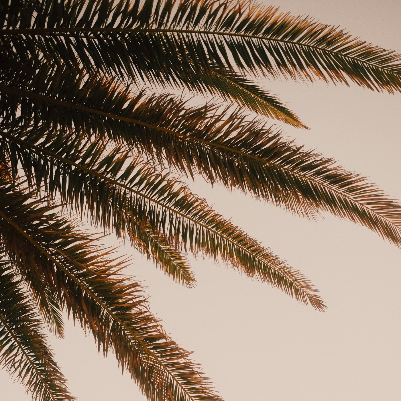 Evidencia “ contexto laboral y académico