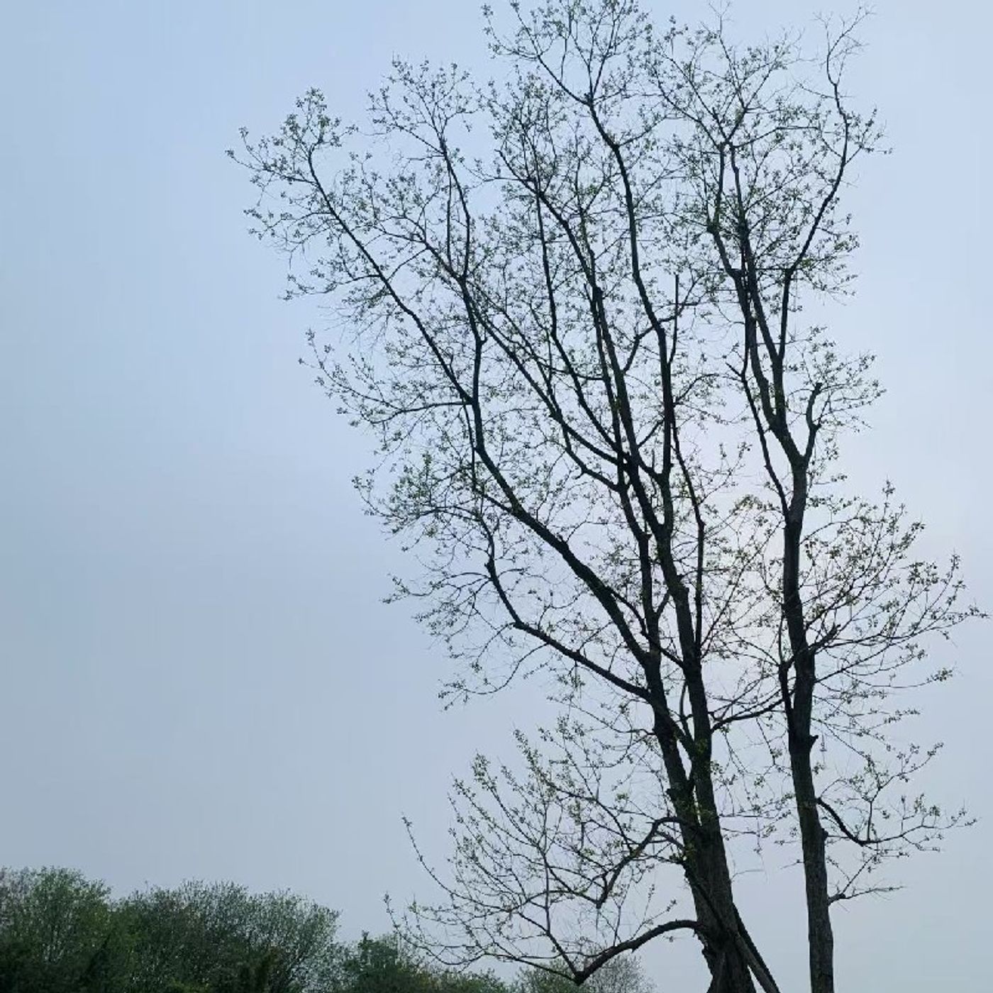 看见seen