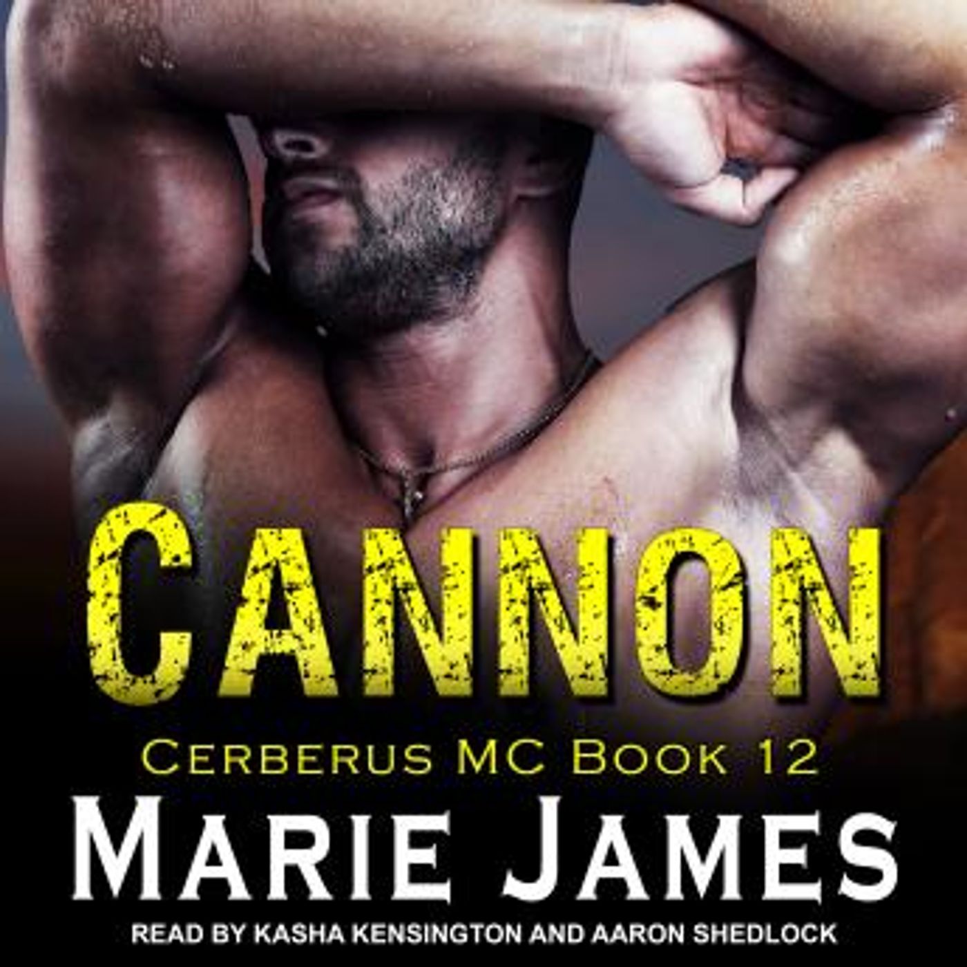 Explore the Latest Full Audiobooks in Romance, Modern