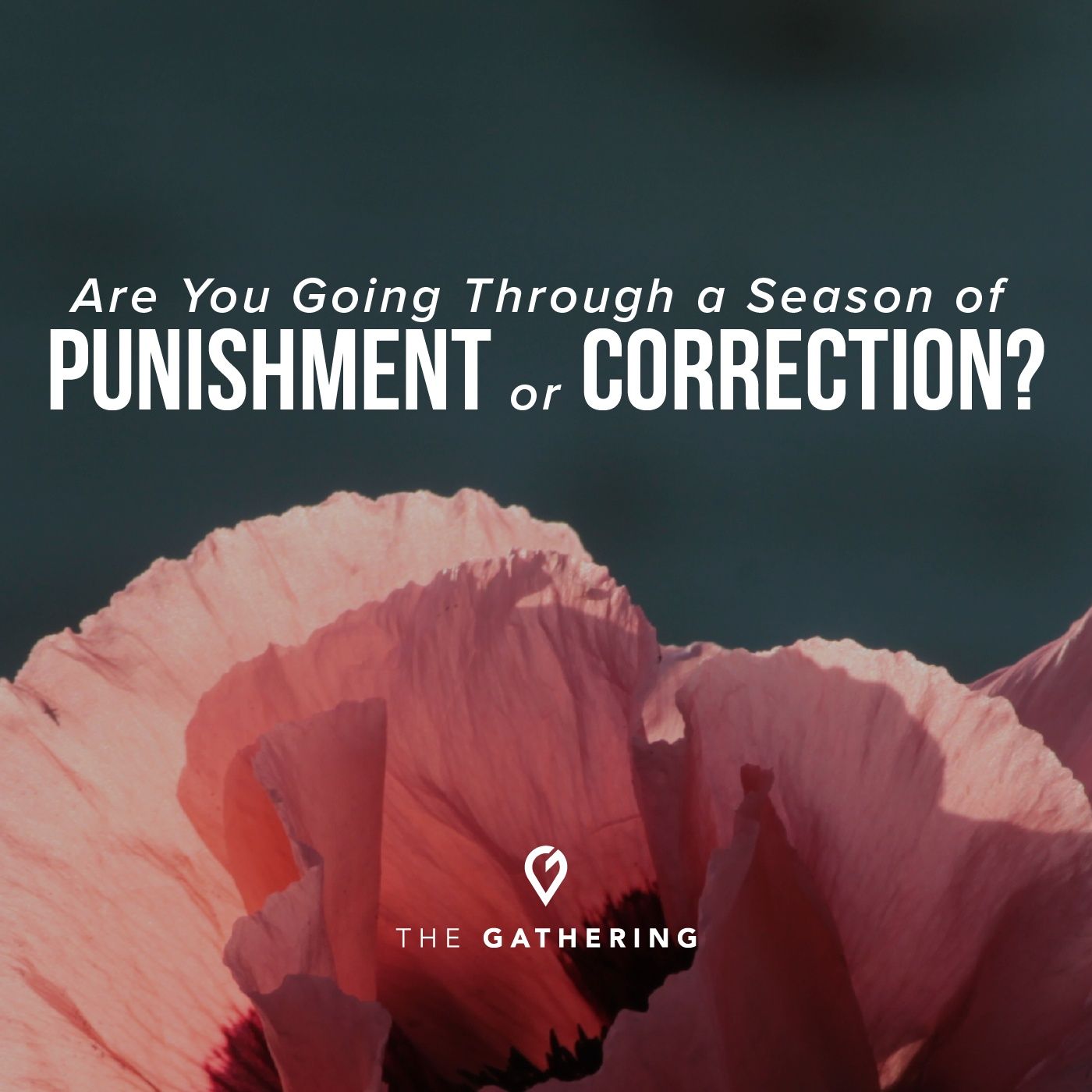 Are You Going Through a Season of Punishment or Correction? episode artwork
