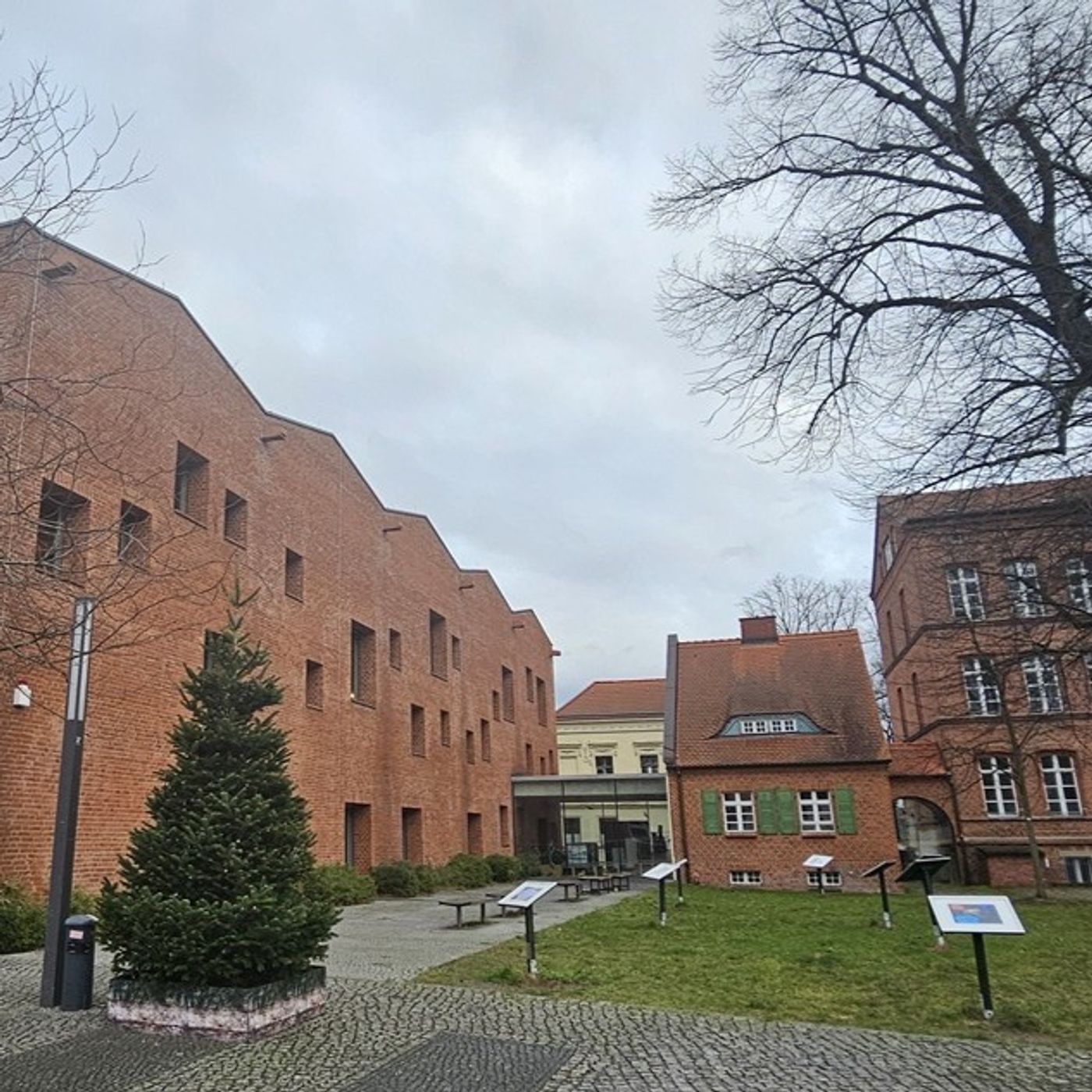 Mittwochs in der Bibliothek