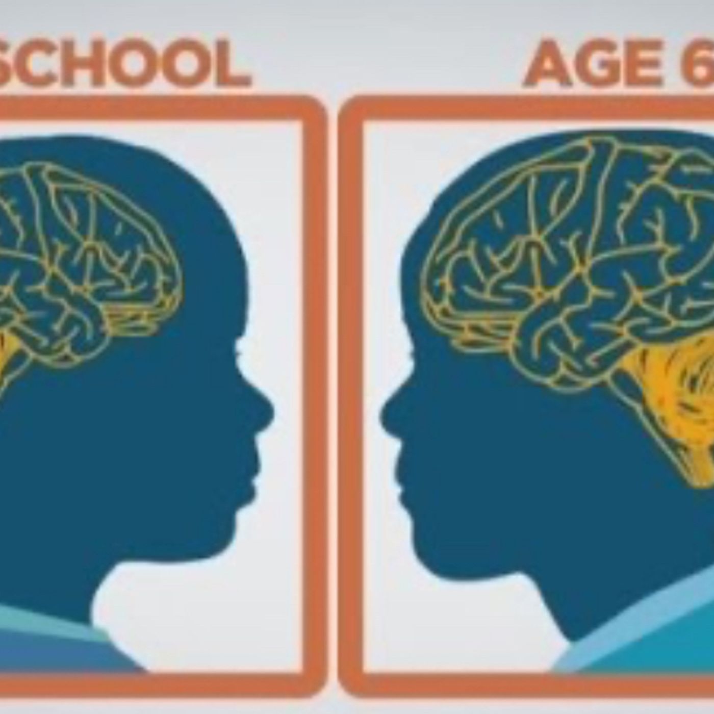 S64E10: In Babies It's About 65% Of Their Body Weight - Trevor Gear On How Much Our Brain Weighs