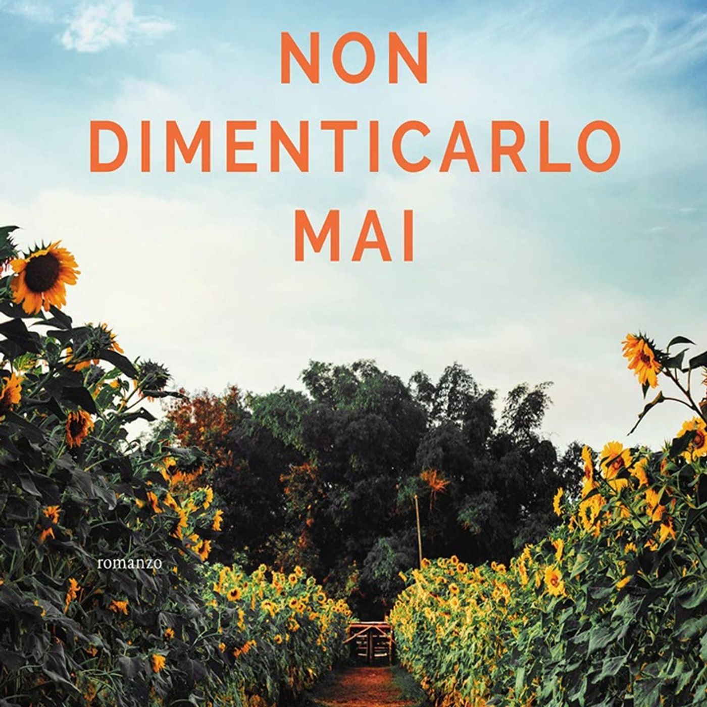 Federica Bosco: torna una delle autrici più amate con una storia emotivamente forte