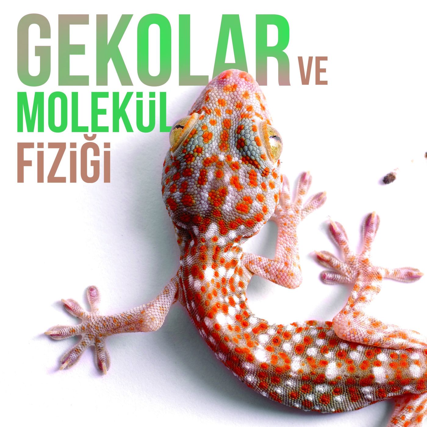 Gekolar ve Molekül Fiziği episode artwork