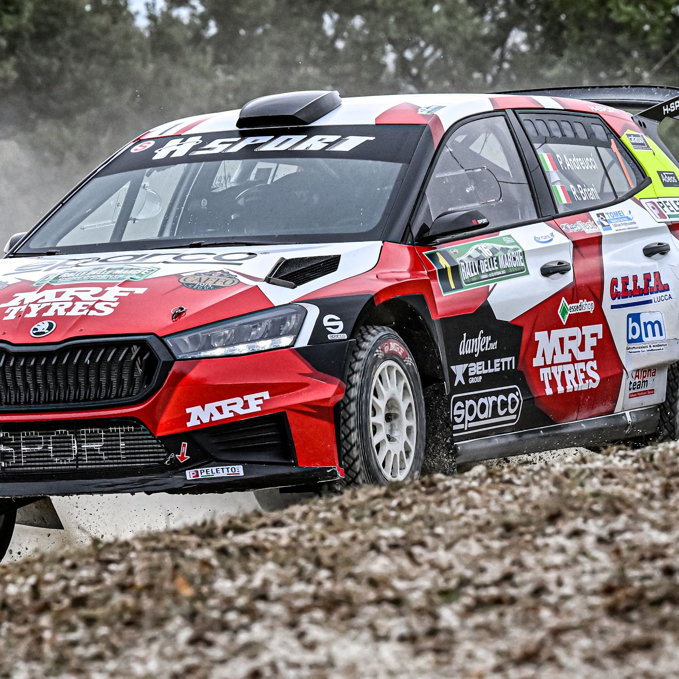 rallylink - si parla di rally