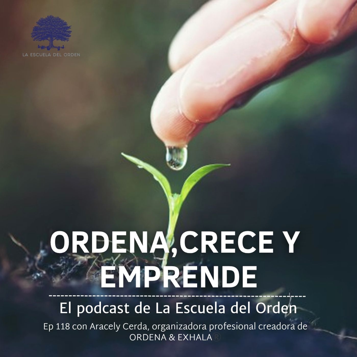 Ep 118 con Aracely Cerda, organizadora profesional creadora de ORDENA & EXHALA®️ episode artwork