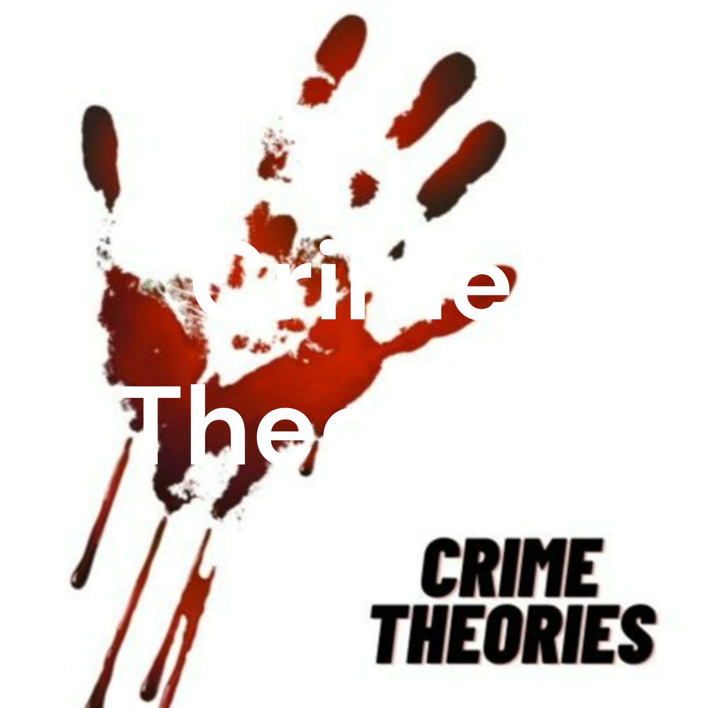 Crime Theories